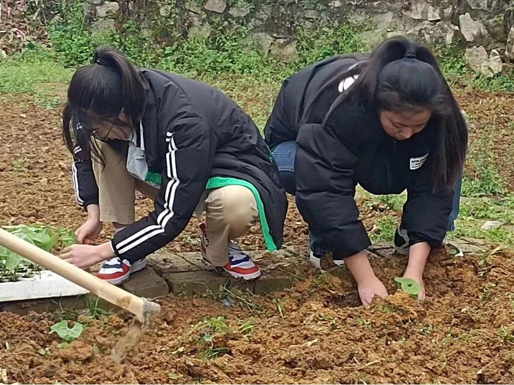微信图片_20230405154442.jpg